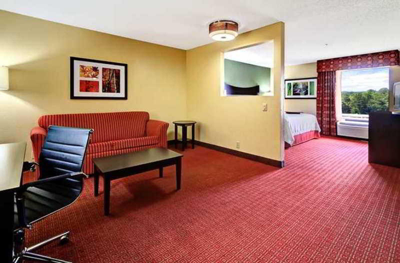 Public Area 2, Hampton Inn Hot Springs, Garland