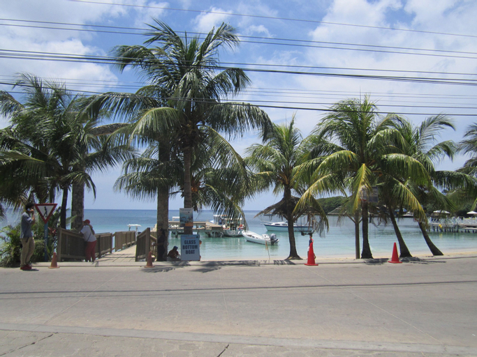 Coconut Tree West End, Roatán