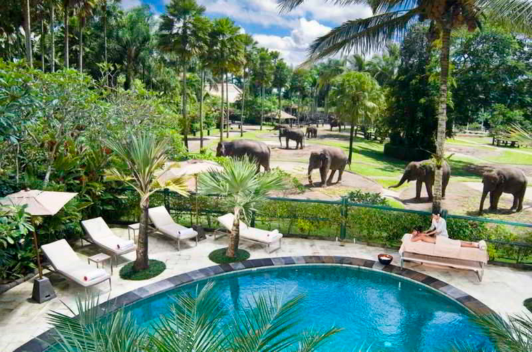 Sport & Beauty 3, Mason Elephant Park and Lodge Gianyar Bali, Gianyar