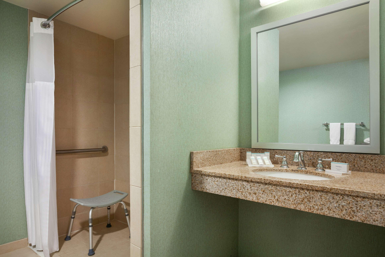 Bathroom 4, Hilton Garden Inn Atlanta Downtown, Atlanta