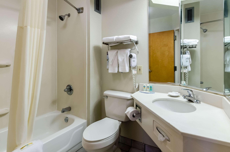 Bathroom, Quality Inn Lynchburg Near University, Lynchburg
