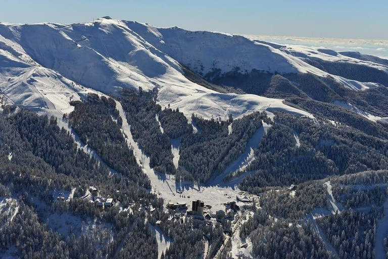 Others 5, Le Figarelou, Cantal