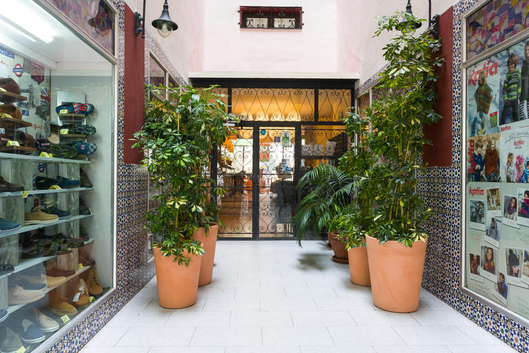 Public Area 2, Sol y Miel Hostal, Málaga