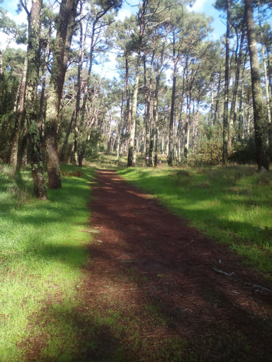 Villa With 3 Bedrooms in Moledo, With Wonderful Mountain View, Private, Caminha