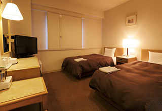 Okazaki Daiichi Hotel, Okazaki