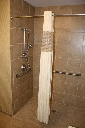 Sport & Beauty 1, Hampton Inn East Lansing, Ingham