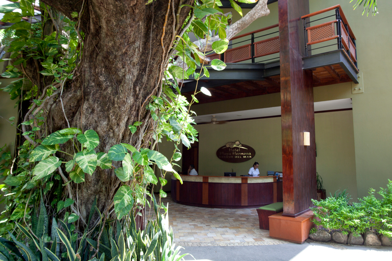 Public Area 3, Hotel Bosque del Mar, Playa Hermosa, Carrillo