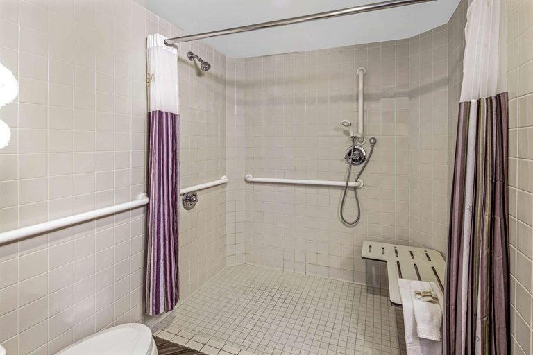 Bathroom 4, Holiday Inn Expres & Sts Anaheim Convention C Area, Orange