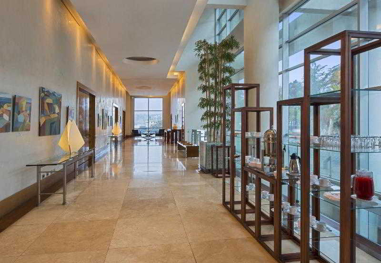 Public Area 4, Sheraton Miramar Hotel & Convention Center, Valparaíso