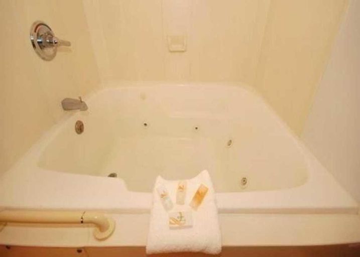 Econo Lodge Inn & Suites, Black Hawk
