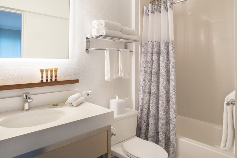 Bathroom, Queen Kapiolani Hotel, Honolulu