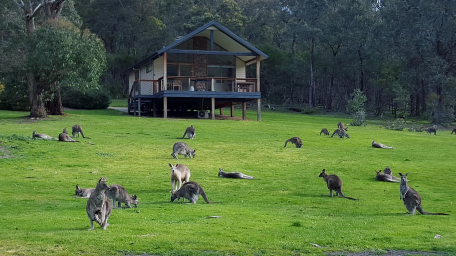 Yering Gorge Cottages, Yarra Ranges - Seville