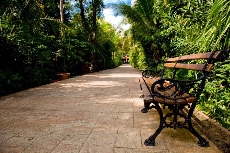 Exterior & Views 2, Catalonia Privileged Maroma, Cozumel