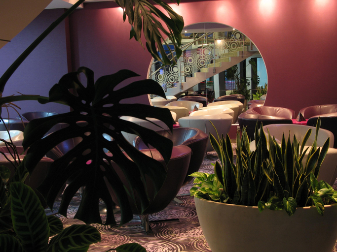Public Area 4, Galaxy Hotel, Kraków City