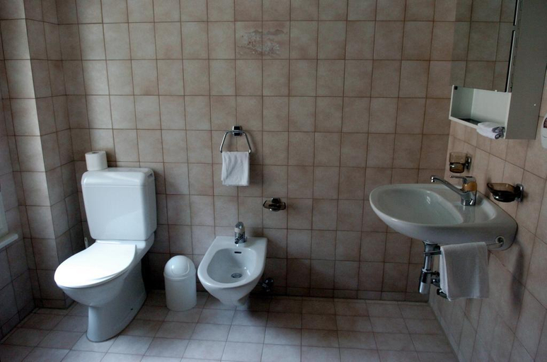 Bedroom 4, Minotel Forni, Leventina