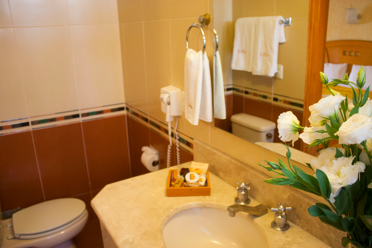 Bathroom 4, Hotel Puerta Del Sol, Zapopan