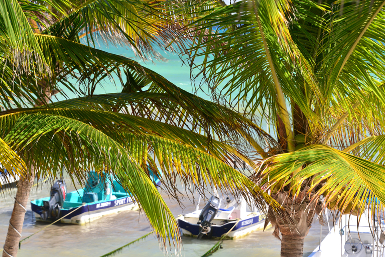 Sport & Beauty 5, Playa Palms, Cozumel