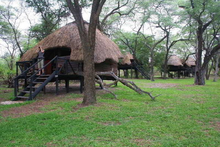 Family & Kids, Sikumi Tree Lodge, Hwange
