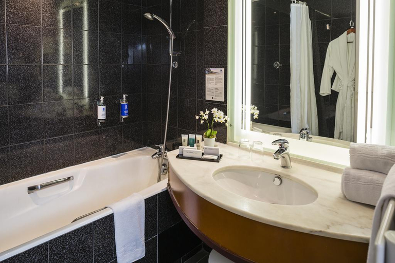 Bathroom, Helianthal, Pyrénées-Atlantiques