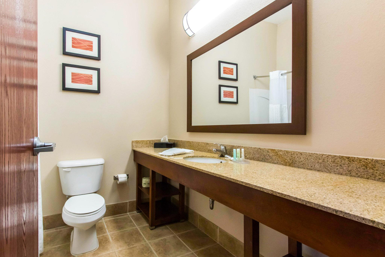 Bathroom 4, Comfort Inn & Suites, Barren
