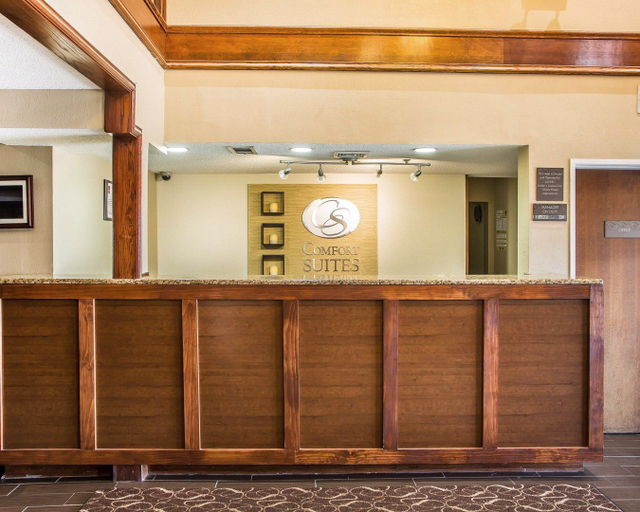 Public Area 2, Comfort Suites near I-80 and I-94, Cook