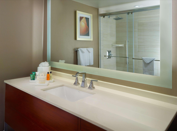 Bathroom 5, Hilton Atlanta Northeast, Gwinnett