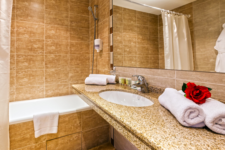 Bathroom 5, Terra Complex, Razlog