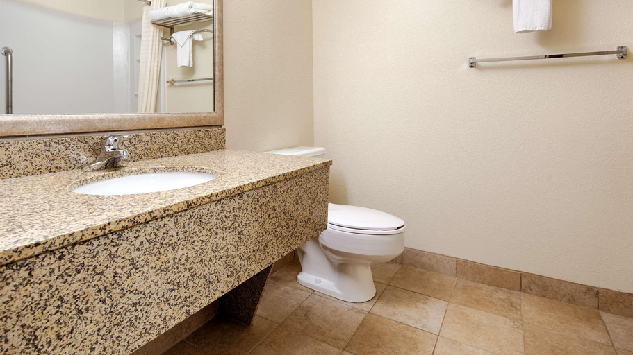 Bathroom 4, Deluxe Inn , Wythe