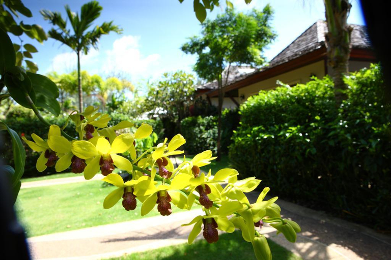 Exterior & Views 2, Paitan Villas, Phuket Island