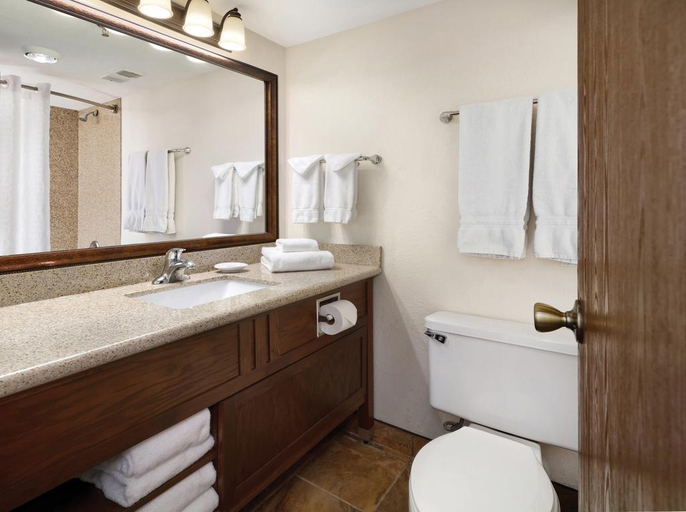 Bathroom 4, Ramkota Hotel, Natrona