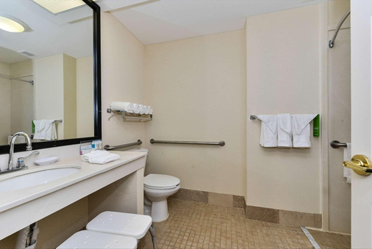 Bathroom 4, Hampton Inn Swedesboro Philadelphia, Gloucester