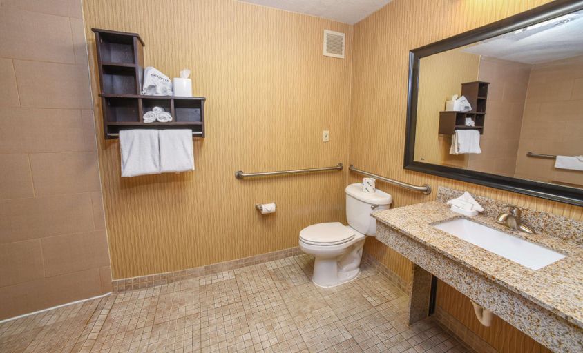 Bathroom 4, Hampton Inn Dry Ridge, Grant