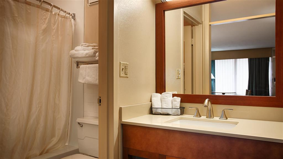 Bathroom 4, Red Rose Hotel, Alleghany