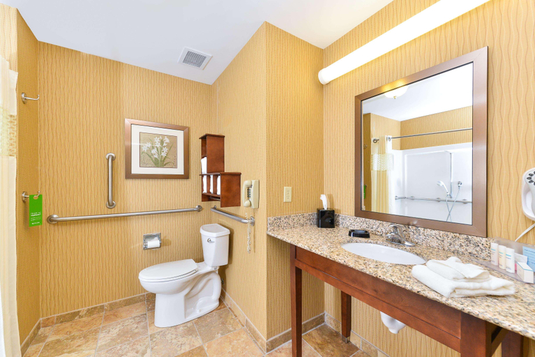 Bathroom 4, Hampton Inn Yorkville, Kendall