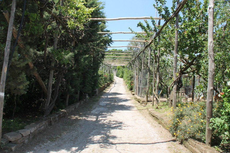 Public Area 2, Agriturismo Piccolo Paradiso, Napoli