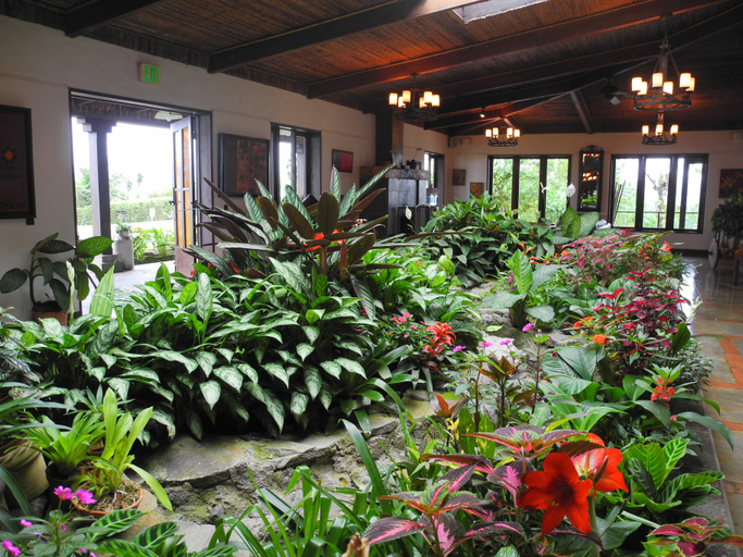 Public Area 3, Villa Blanca Cloud Forest Hotel + Retreat, San Ramón