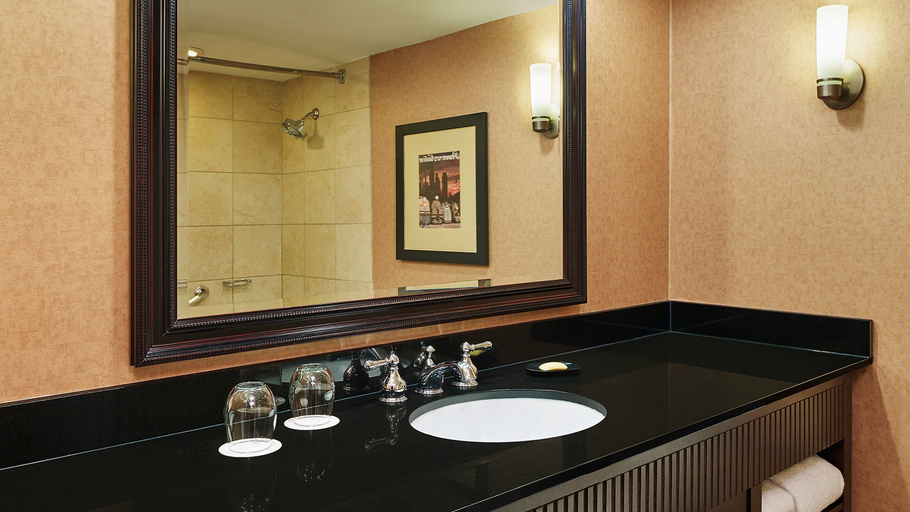 Bathroom 5, Sheraton Hotel Lisle, Dupage