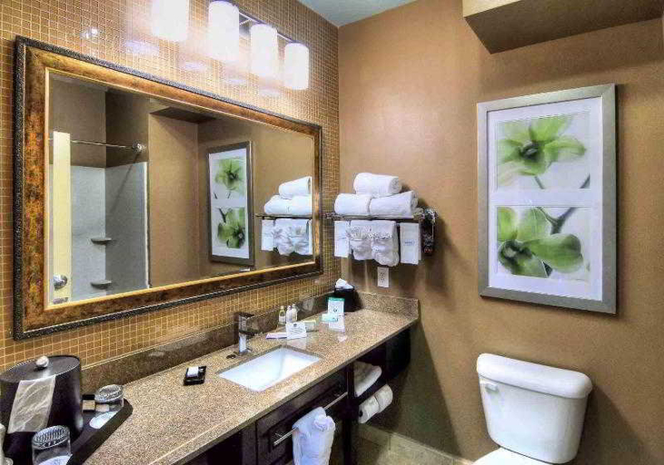 Bathroom 4, Comfort Suites New Bern near Cherry Point, Craven
