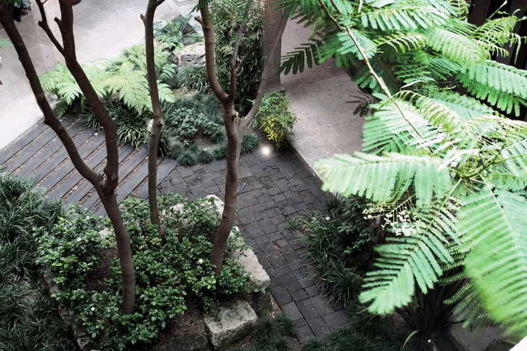 Public Area 4, Boutique Casa Madero, Morelia