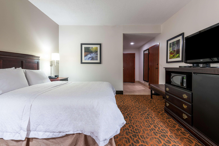 Bedroom 3, Hampton Inn Parkersburg-Mineral Wells, Wood