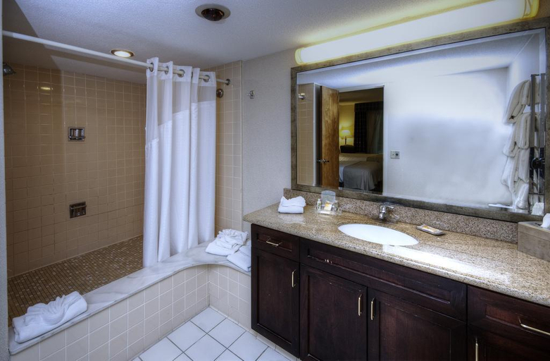 Bathroom 5, The Boxboro Regency, Middlesex
