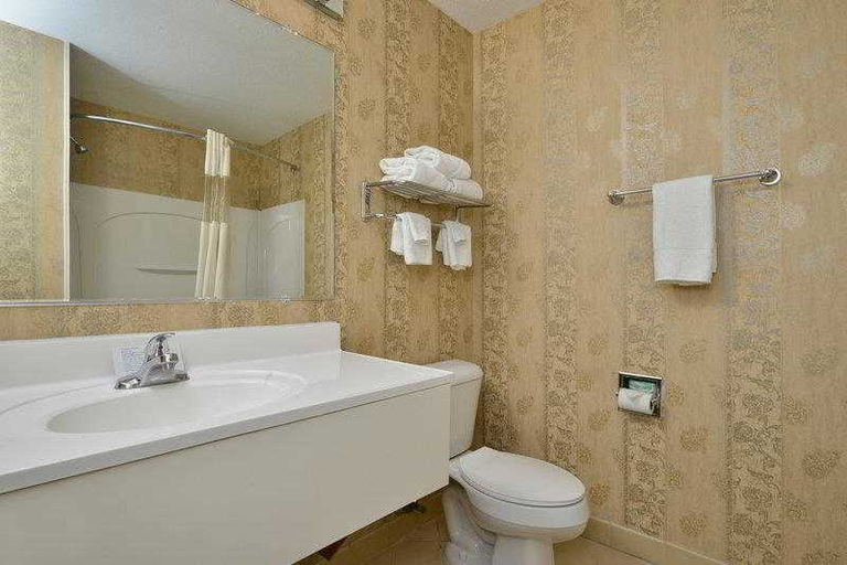 Bathroom, Best Western Executive Inn, Carroll