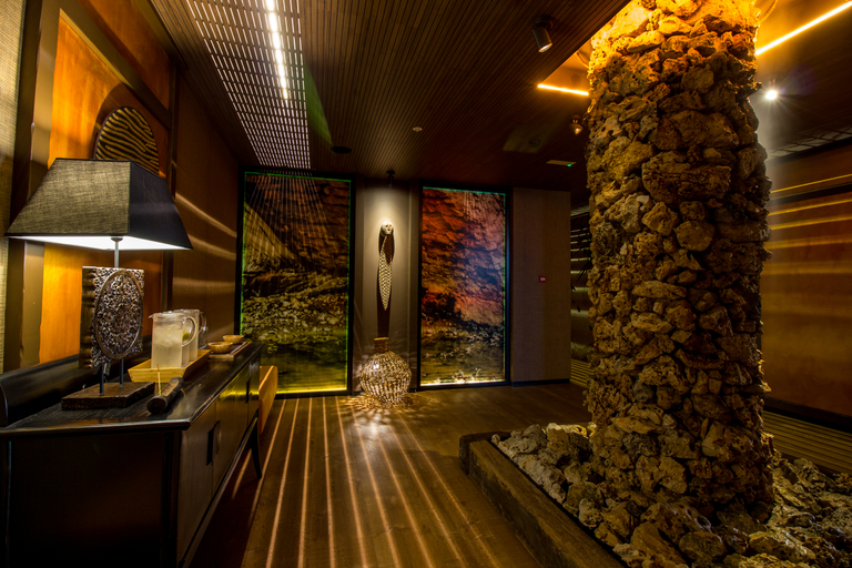 Public Area 2, Balfagon Hotel & Spa, Teruel
