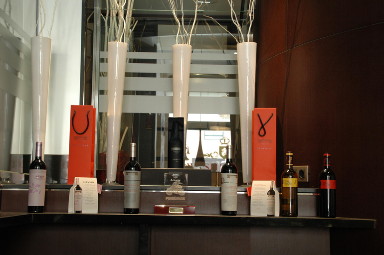 Public Area 2, Washington Parquesol Suites & Hotel, Valladolid