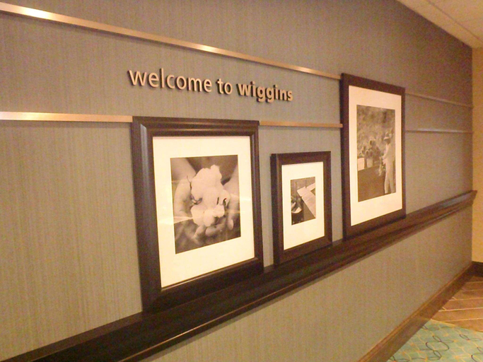 Public Area 2, Hampton Inn & Suites Wiggins, Stone