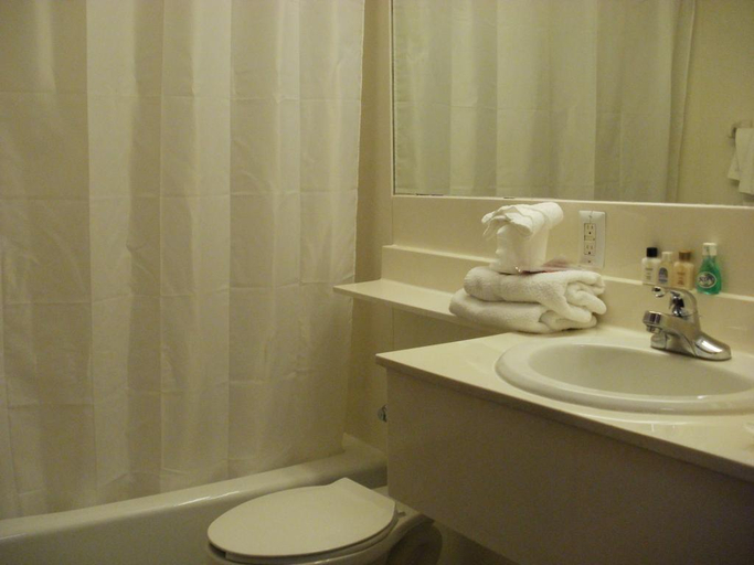 Bathroom 4, Galaxy Motel, New York