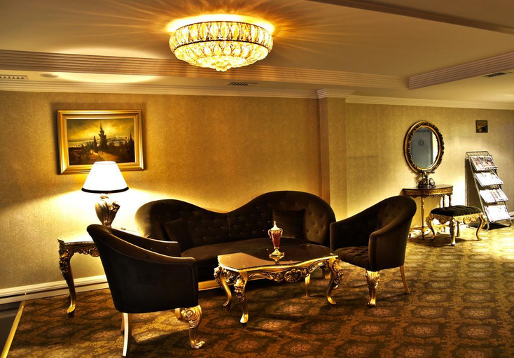 Public Area 3, Ankara Gold Hotel, Çankaya