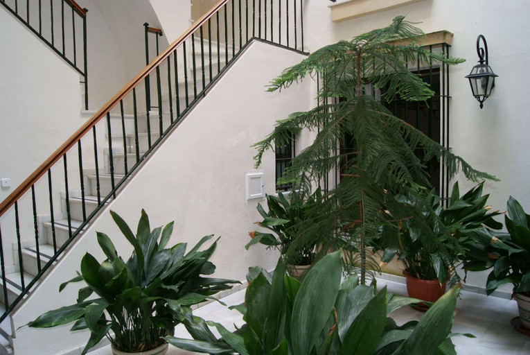 Public Area, Casa Palacio Luna, Cádiz