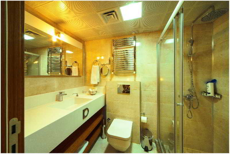 Bathroom 4, Dies Hotel, Merkez