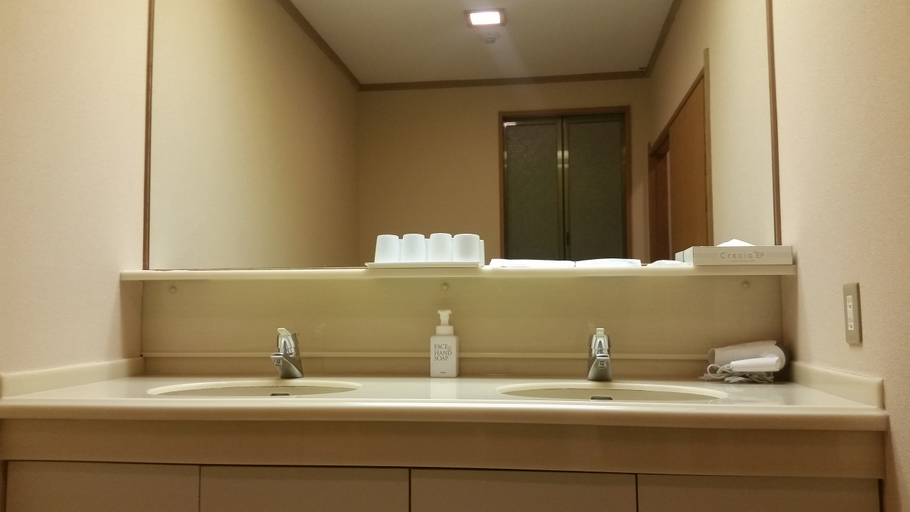 Bathroom 5, Ryokan Ryuguden, Hakone